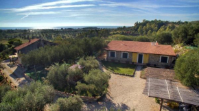Barnìa Ascea